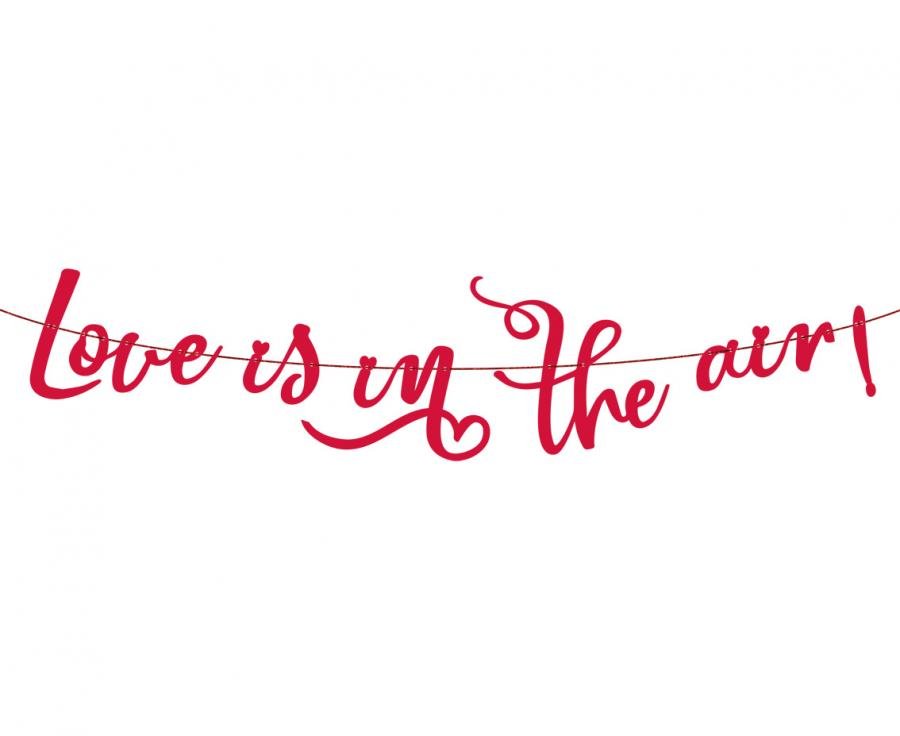 Papírová girlanda "Love is in the air", 200 cm
